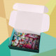 Kit Mega Box de Xylitol Kit Mega Box de Xylitol