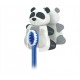Funny Animals - Panda Funny Animals - Panda