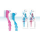 Miradent Protho Brush De Luxe - Azul Miradent Protho Brush De Luxe - Azul